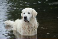 Иван Любченко фотография #31 (источник - https://vk.com/id682883)