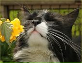 Фотография Рапуто Андрея