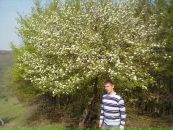 Іван Мокрицький фотография #2 (источник - https://vk.com/id76986255)