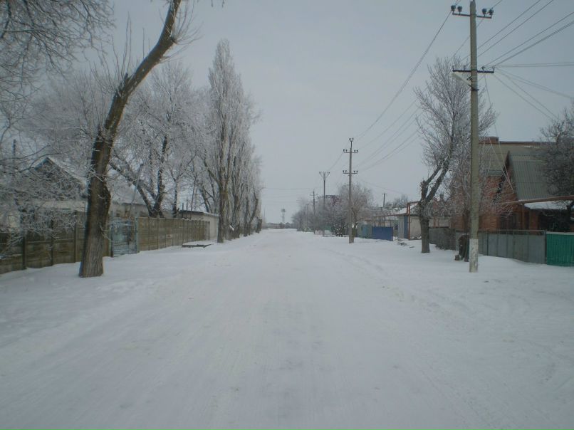 Иван Иванов фотография #25