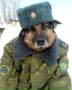 Ігор Швед фотография #6 (источник - https://vk.com/id163655828)