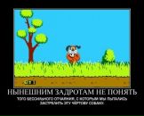 Фотография Павлова Алексея