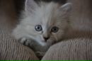 Фотография Юнушкина Максима