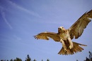 Влад Чернієнко фотография #3 (источник - https://vk.com/id133790711)