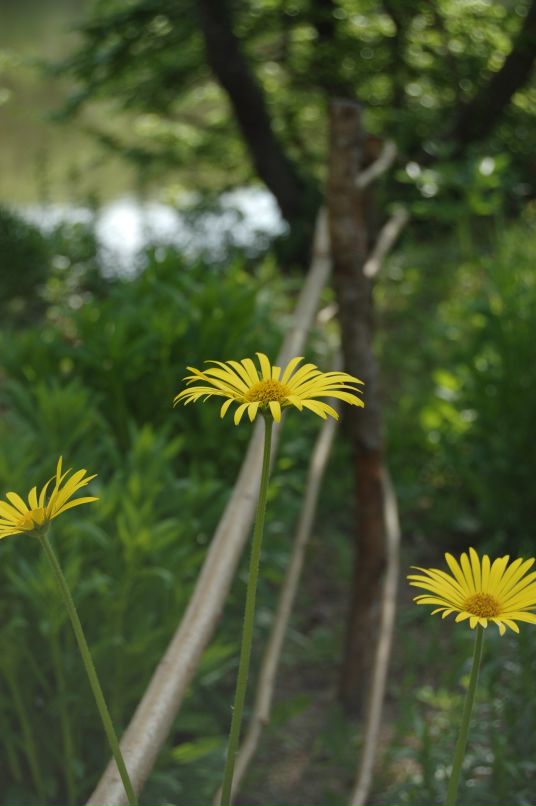 Михаил Воробьёв фотография #19