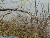 Максим Филатов фотография #7 (источник - https://vk.com/id4618446)