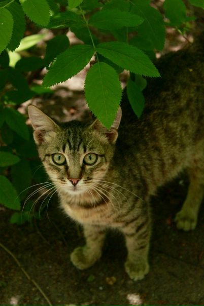 Елена Евсюкова фото №36