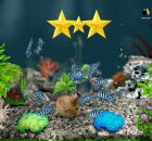 Дмитрий Писарев фотография #27 (источник - https://vk.com/id17475470)