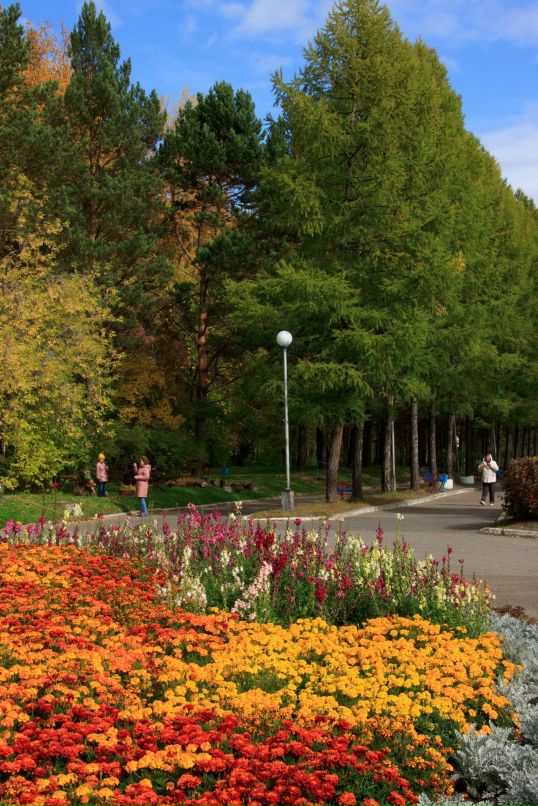 Александр Романов фотография #12