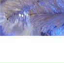 Галя Зінчук фотография #3 (источник - https://vk.com/id66067971)