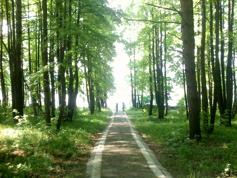 Роман Луценко фотография #33
