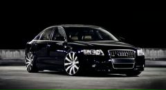 Фотография Жогала Тёмы