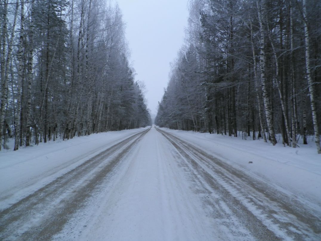 Дмитрий Канюков фотография #21