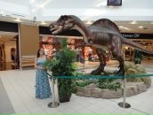 Фотография Бадановой Александры