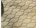 Андрій Бухенко фотография #18 (источник - https://vk.com/id139927872)
