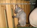 Фотография Седневой Марии