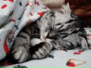 Іван Назаров фотография #38 (источник - https://vk.com/id134915927)