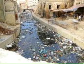 Дмитрий Фёдоров фотография #15 (источник - https://vk.com/id28347)