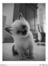 Славік Кравчук фотография #3 (источник - https://vk.com/id139539284)