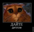 Фотография Макаренко Ирины