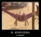 Вовік Воронюк фотография #45 (источник - https://vk.com/id70019965)