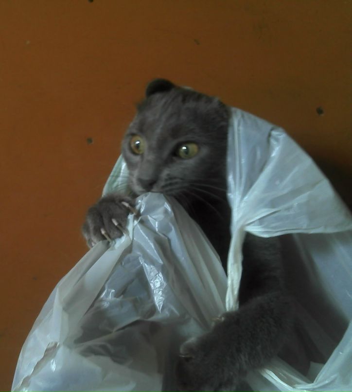 Дмитрий Третьяков фотография #14