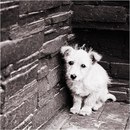 Ксенія Денько фотография #23 (источник - https://vk.com/id151263718)