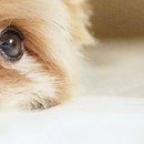 Марія Кобзар фотография #30 (источник - https://vk.com/id96067224)