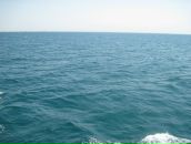 Ірина Куціль фотография #36 (источник - https://vk.com/id75292378)