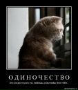 Фотография Демченко Ивана
