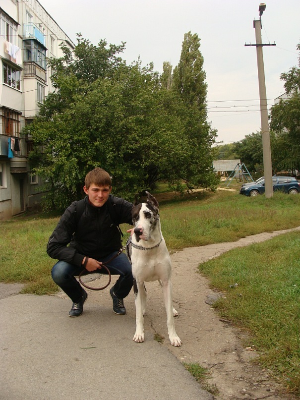 Дмитрий Геращенко фотография #37