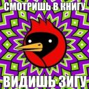 Фотография Tim Simp