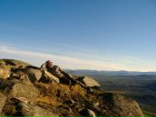 Фотография Белого Александра