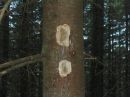 Сергій Семенко фотография #50 (источник - https://vk.com/id145153010)
