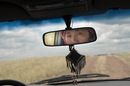 Фотография Яхиной Минзали
