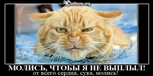 №1, Максим Батуев, Тирасполь №1, Максим Батуев, Тирасполь