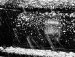 Міша Серянюк фотография #2 (источник - https://vk.com/id161575098)