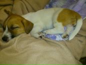 Диман Бабаскин фотография #43 (источник - https://vk.com/id8828617)