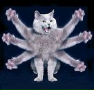 Фотография Карабанова Андрея