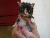 Фотография Полищук Виктории