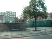 Ромул Рем фотография #50 (источник - https://vk.com/id4353335)