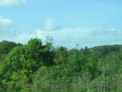 Ромул Рем фотография #36 (источник - https://vk.com/id4353335)