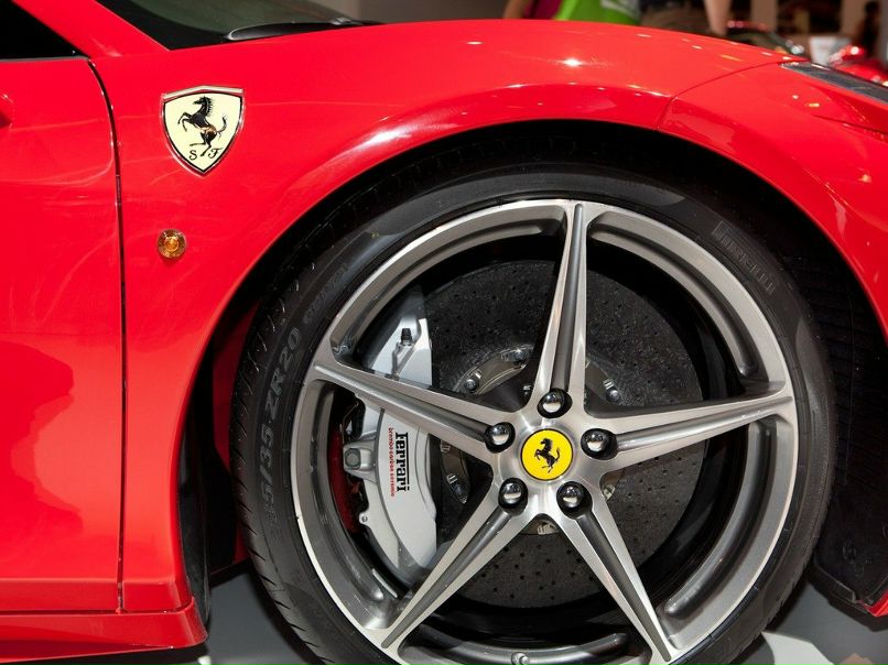 Vasa Plotnik фотография #32