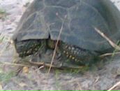 Сергій Манжура фотография #33 (источник - https://vk.com/id155292009)