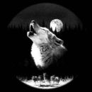 Славік Кречківський фотография #33 (источник - https://vk.com/id169834643)