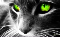 Марічка Данчевська фотография #1