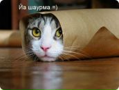 Андрій Деркач фотография #26 (источник - https://vk.com/id42219402)