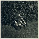 Фотография Soul Orange