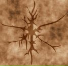 Фотография Онацкого Владимира