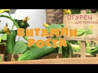 Маша и Медведь Серия 30 - Витамин роста